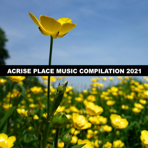 Acrise Place Music Compilation 2021