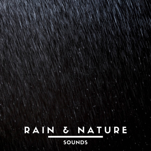 Rain & Nature Sounds