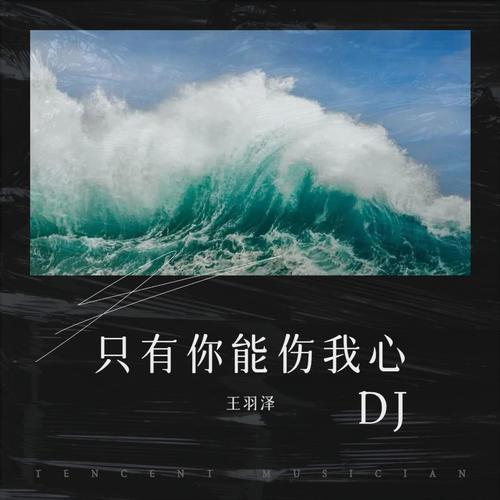 只有你能伤我心 DJ