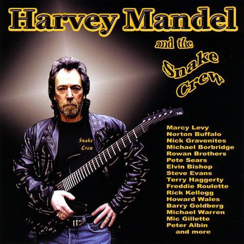 legendary guitar virtuoso harvey mandel, aka the