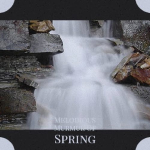 Melodious Murmur Of Spring