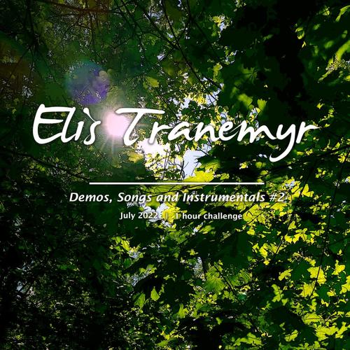 Demos, Songs and Instrumentals #2 (Explicit)