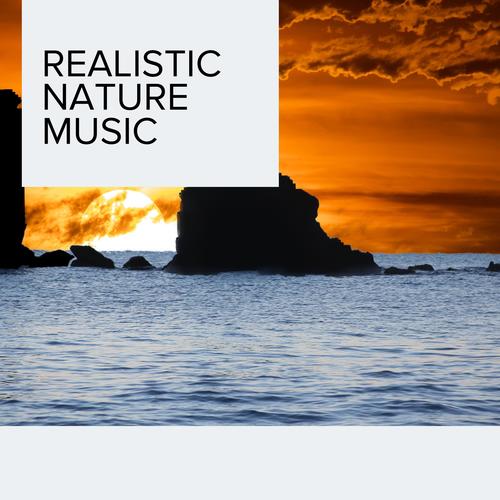 Realistic Nature Music