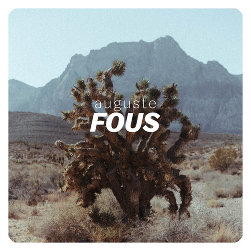 Fous (Radio Edit)