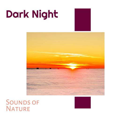 Dark Night - Sounds of Nature