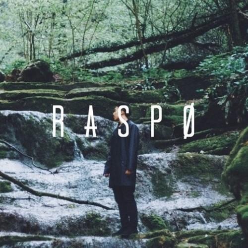 Without You (Raspo Remix)