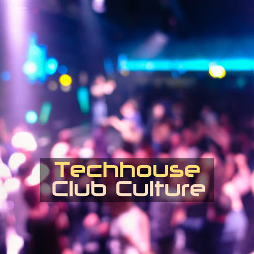 Techhouse Club Culture