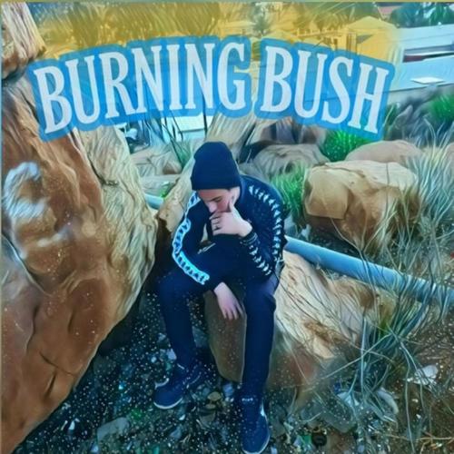 Burning Bush (feat. Toxic) (Explicit)