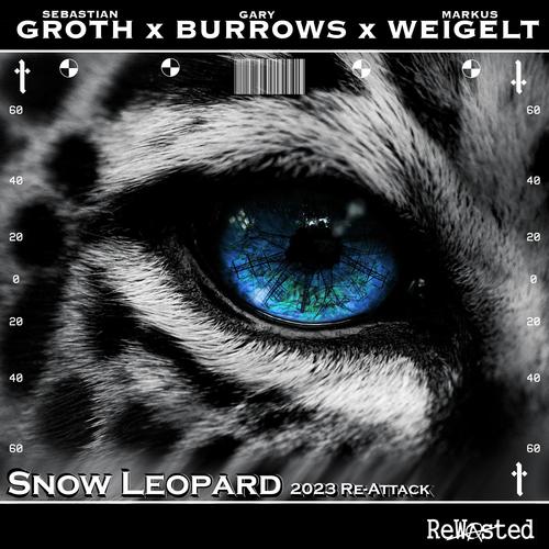 Snow Leopard 2023 (Re-Attack)