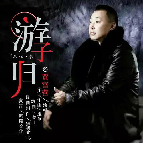 贾富营（游子归）火爆舞曲版-翻唱