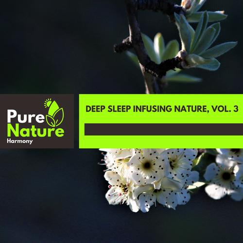 Deep Sleep Infusing Nature, Vol. 3