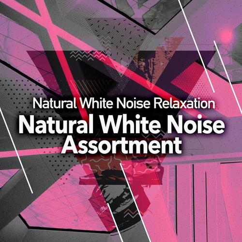 Natural White Noise Assortment