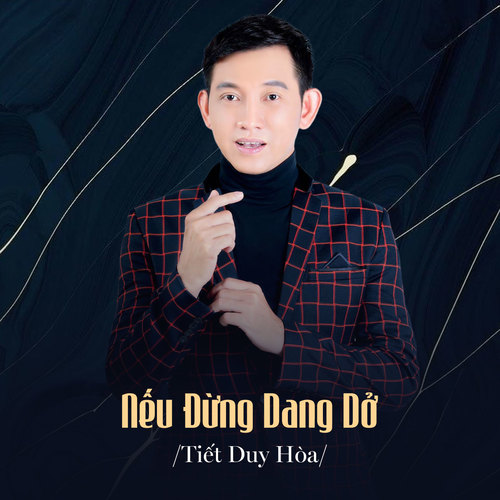 Nếu Đừng Dang Dở