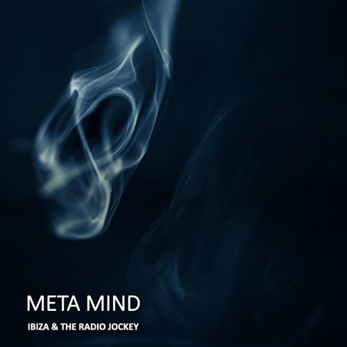 Meta Mind (feat. The Radio Jockey)