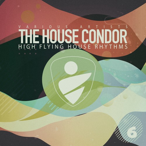 The House Condor, Vol. 6