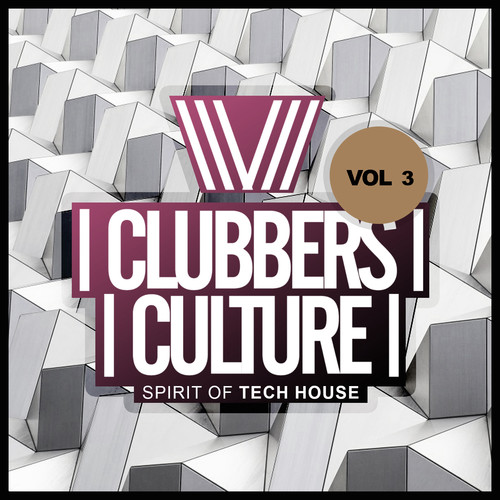 Clubbers Culture: Spirit Of Tech House, Vol.3