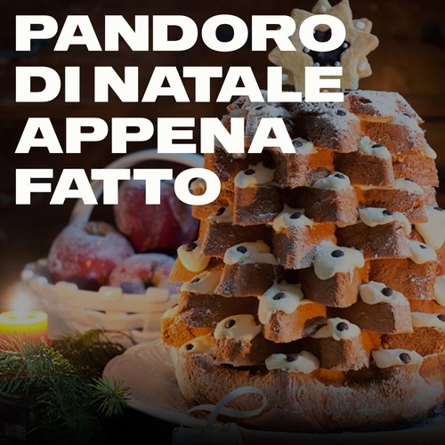 Pandoro di natale apenna fatto