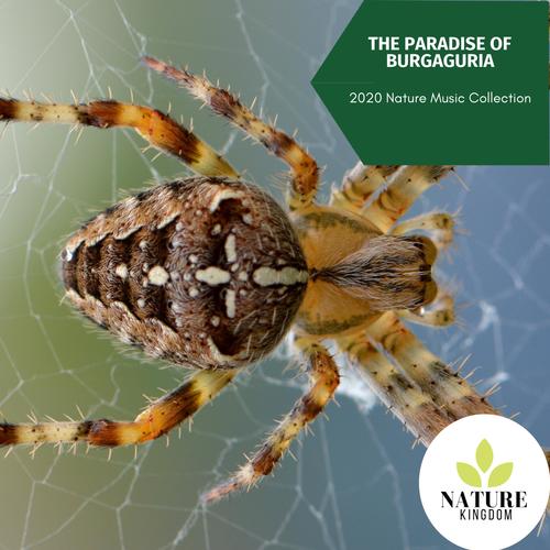 The Paradise of Burgaguria - 2020 Nature Music Collection