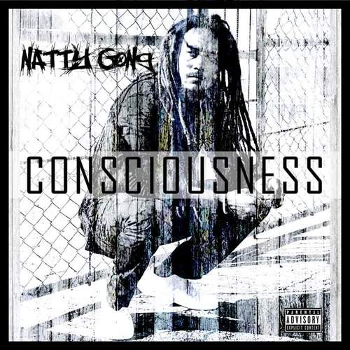 Consciousness (Explicit)