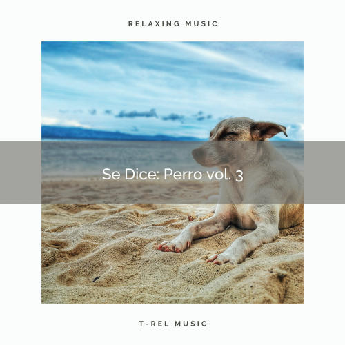 2021 New: Se Dice: Perro vol. 3