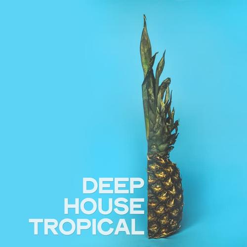 Deep House Tropical (Ibiza Beach Party Music 2020)