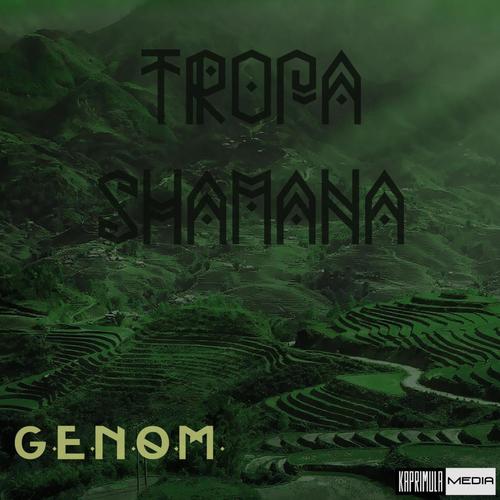 Tropa Shamana