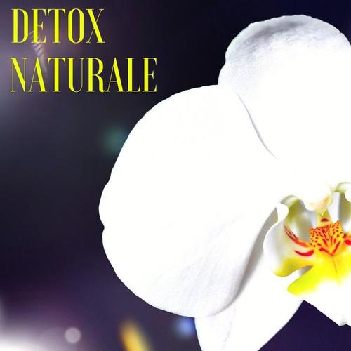 Detox Naturale - Musiche Giapponesi per Sottofondo Musicale, Pace e Benessere Interiore