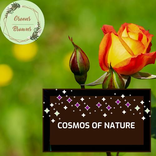 Cosmos of Nature