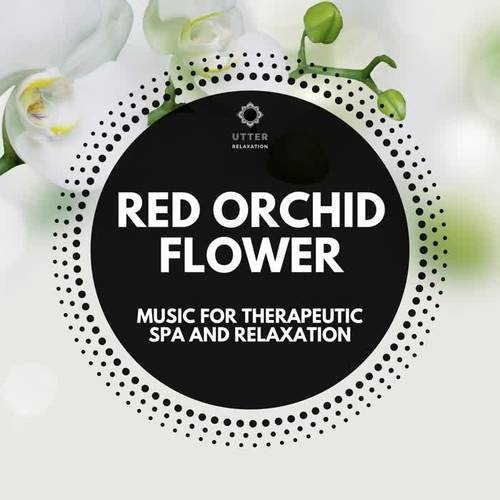 Red Orchid Flower: Music for Therapeutic Spa and Relaxation