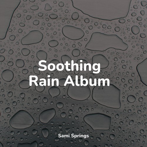 50 Loopable Rainfall Recordings