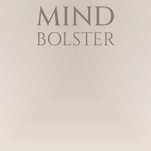 Mind Bolster