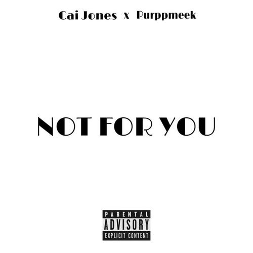 Not For You (Explicit)