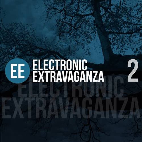 Electronic Extravaganza, Vol. 2
