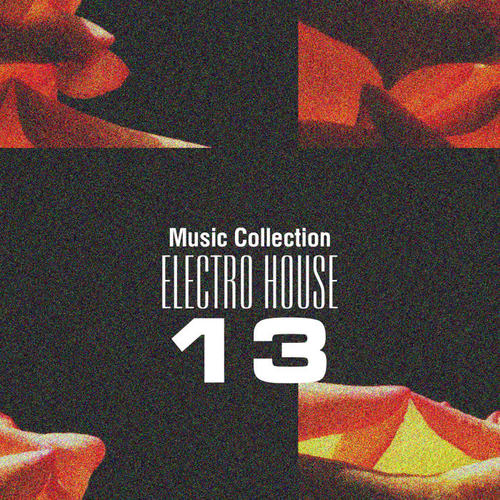 Music Collection. Electro House 13