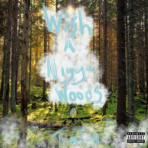 Wish a nigga woods (Explicit)