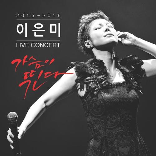 이은미 Live Concert 가슴이 뛴다