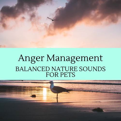 Anger Management - Balanced Nature Sounds for Pets