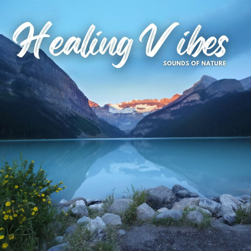 Sounds of Nature: Healing Vibes