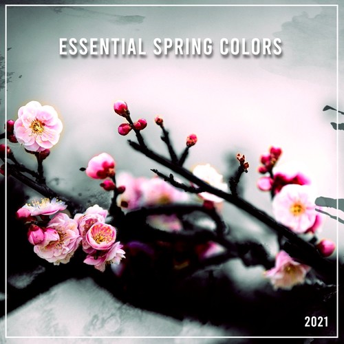 Essential Spring Colors 2021 (Explicit)