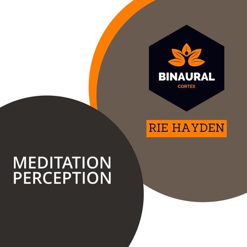 Meditation Perception