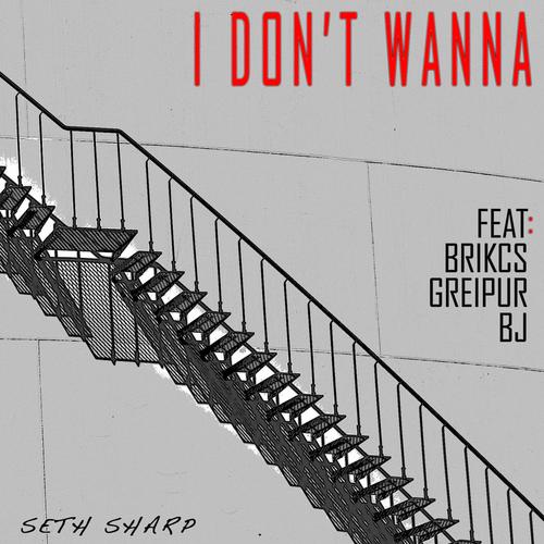 I Don't Wanna (feat. Brikcs, Greipur & BJ) [Explicit]