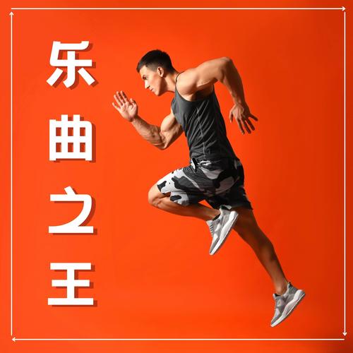 乐曲之王 – 运动音乐， Techno、电子音乐、回响贝斯和House音乐，健身音乐，锻炼身心的歌曲