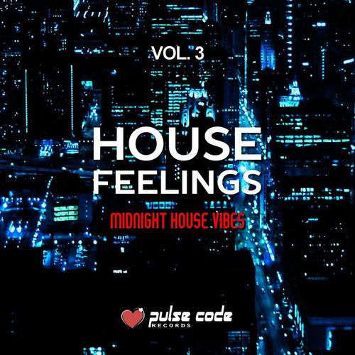 House Feelings, Vol. 3 (Midnight House Vibes)