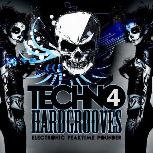 Techno Hardgrooves, Vol. 4 (Electronic Peaktime Pounder) [Explicit]