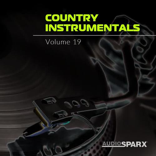 Country Instrumentals Volume 19