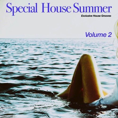 Special House Summer, Vol. 2