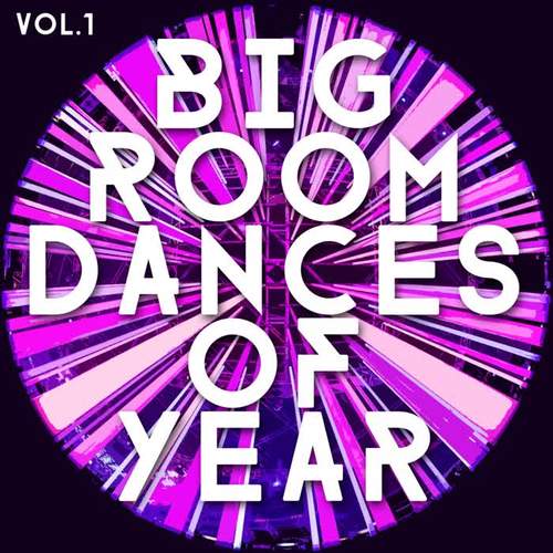 Big Room Dances Of Year, Vol. 1