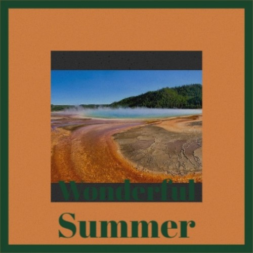 Wonderful Summer