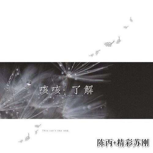 咳咳了解(抖音版) - 陈丙[男]&BGHY苏刚