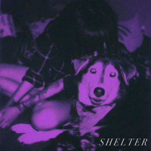 SHELTER